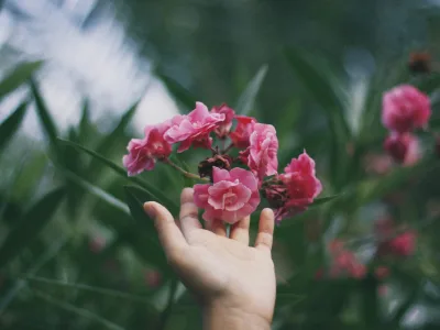 37 frases sobre fazer o bem que deixam o coração leve