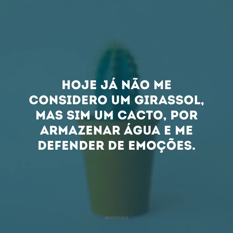 Hoje já não me considero um girassol, mas sim um cacto, por armazenar água e me defender de emoções.