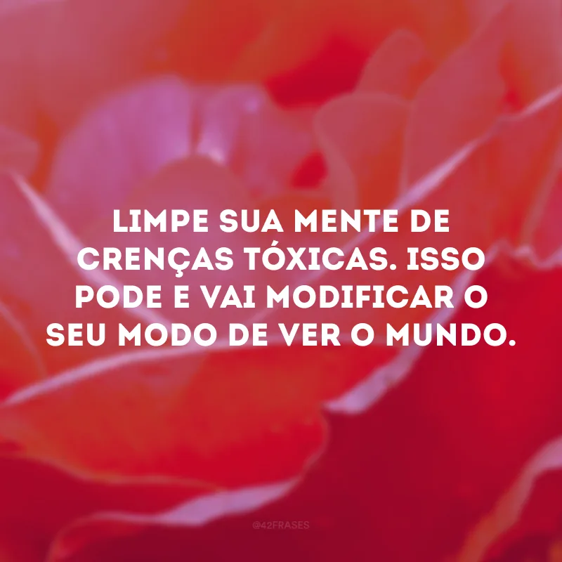 Limpe sua mente de crenças tóxicas. Isso pode e vai modificar o seu modo de ver o mundo.