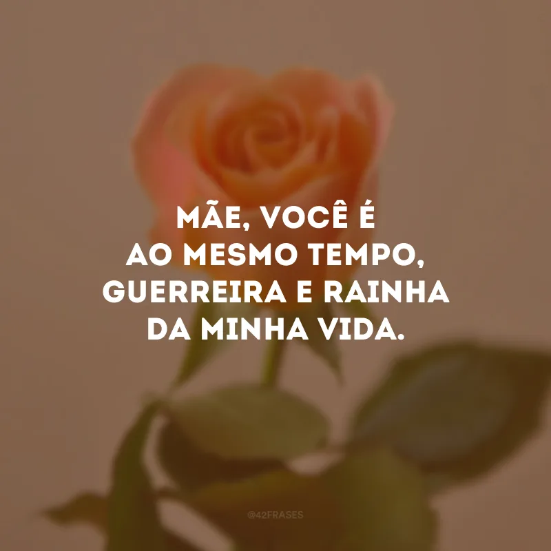 Mãe, você é ao mesmo tempo, guerreira e rainha da minha vida.