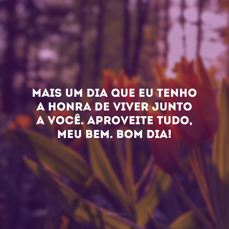 Mais um dia que eu tenho a honra de viver junto a você. Aproveite tudo, meu bem. Bom dia! 