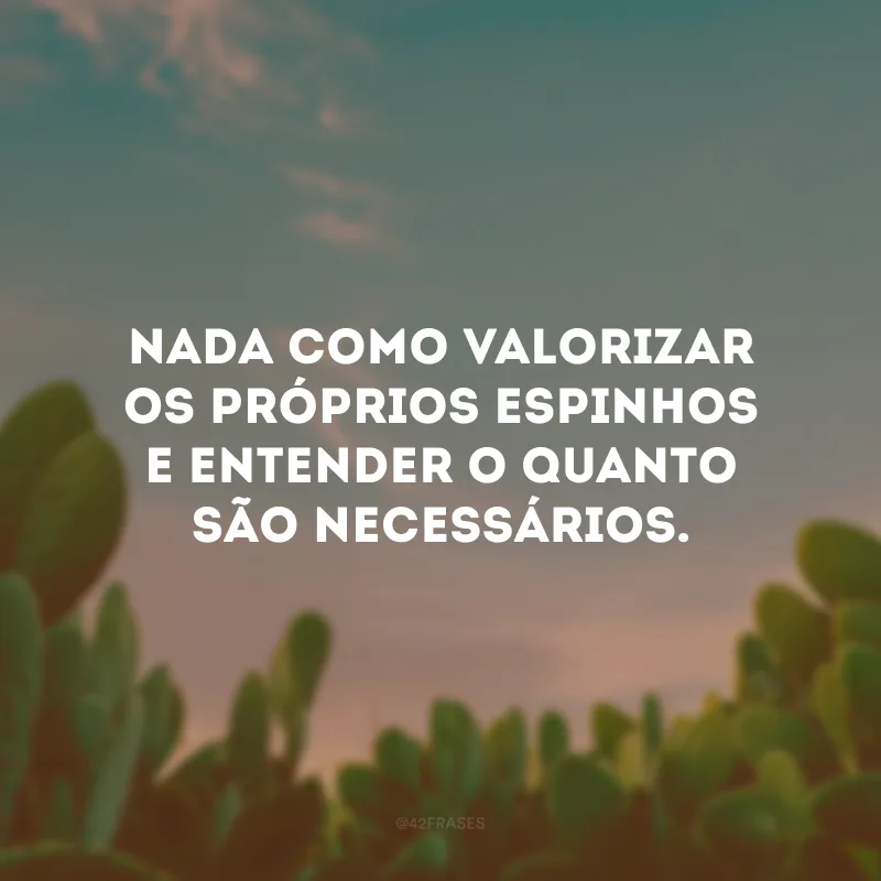 Nada como valorizar os próprios espinhos e entender o quanto são necessários.