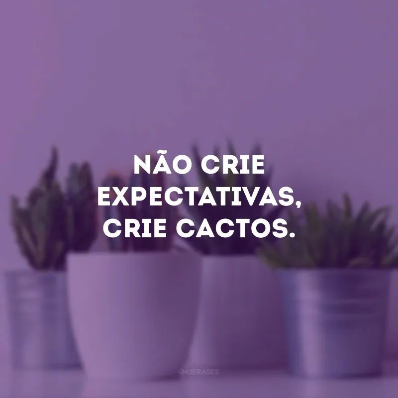 Não crie expectativas, crie cactos.