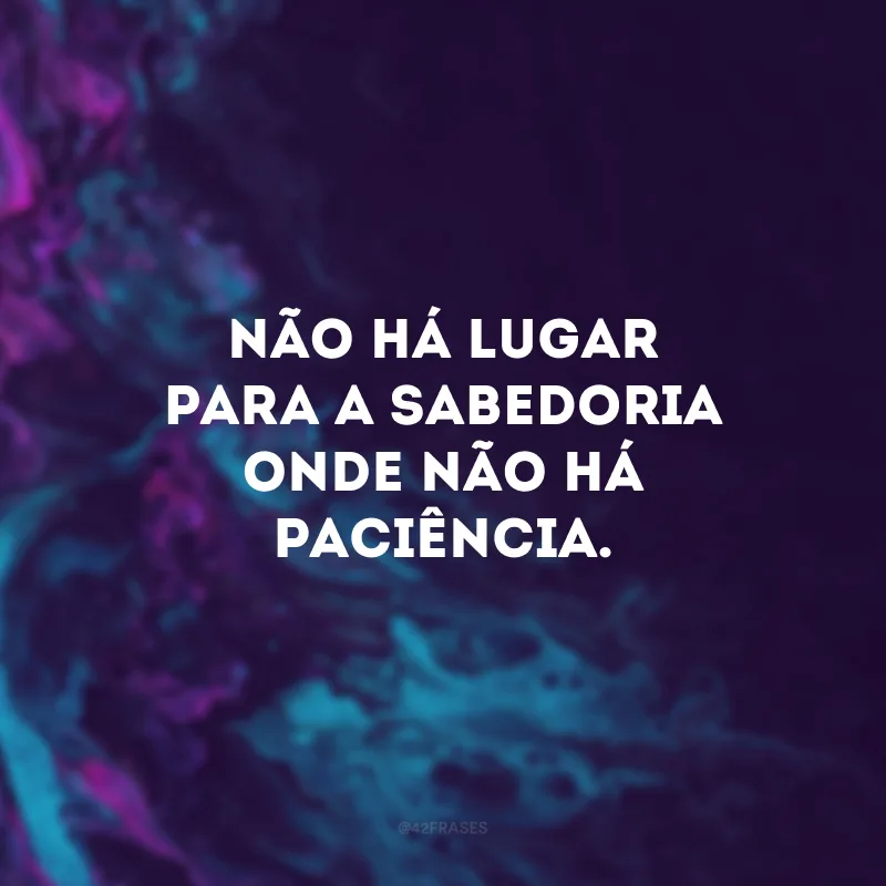 Não há lugar para a sabedoria onde não há paciência. 