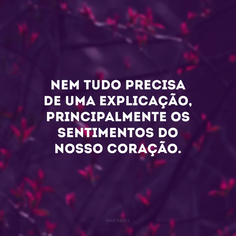Nem tudo precisa de uma explicação, principalmente os sentimentos do nosso coração.