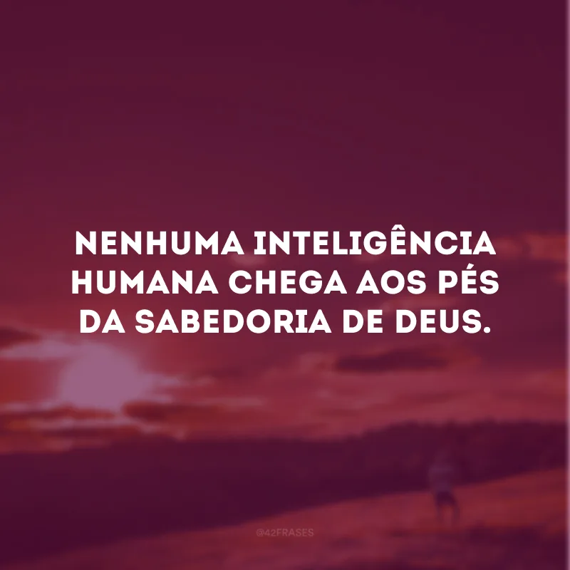 Nenhuma inteligência humana chega aos pés da sabedoria de Deus. 