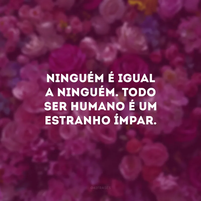 Ninguém é igual a ninguém. Todo ser humano é um estranho ímpar.