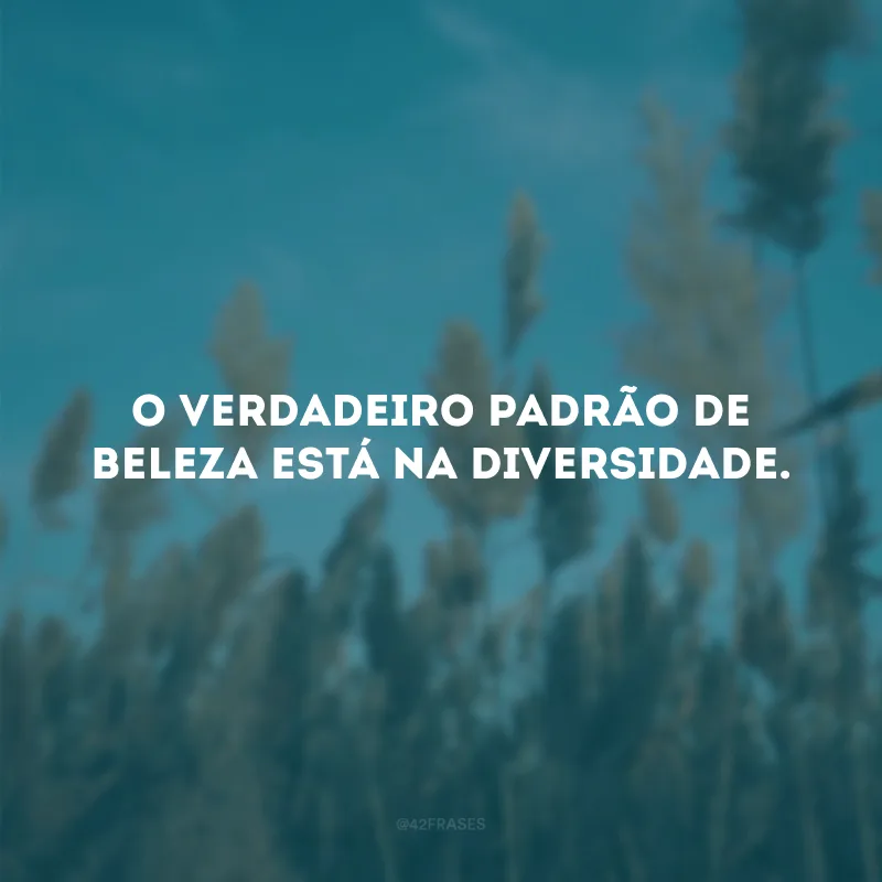 O verdadeiro padrão de beleza está na diversidade.