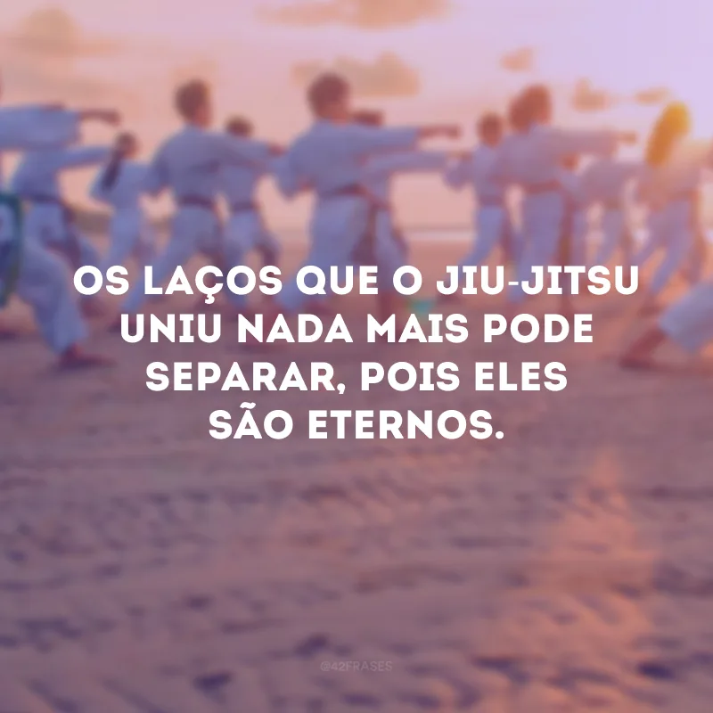 Os laços que o jiu-jitsu uniu nada mais pode separar, pois eles são eternos. 