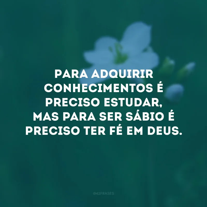Para adquirir conhecimentos é preciso estudar, mas para ser sábio é preciso ter fé em Deus.