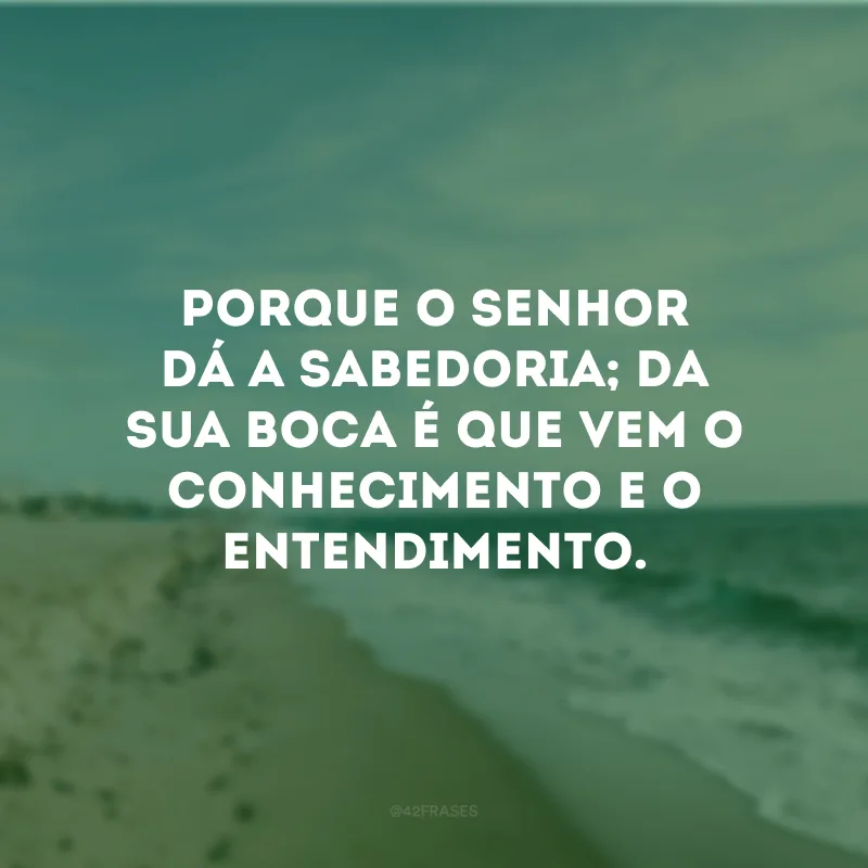 Porque o Senhor dá a sabedoria; da sua boca é que vem o conhecimento e o entendimento.