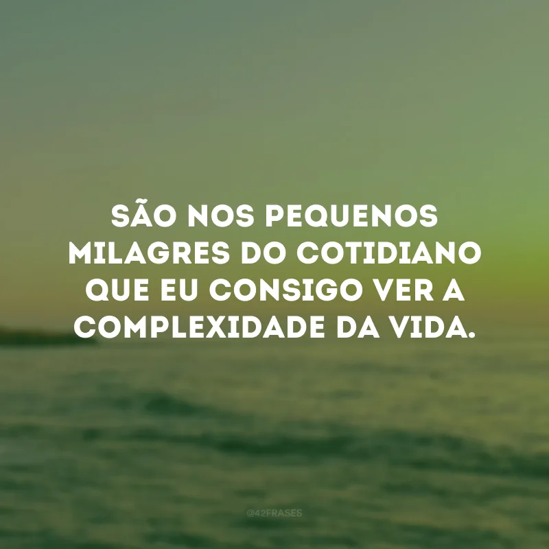 São nos pequenos milagres do cotidiano que eu consigo ver a complexidade da vida.