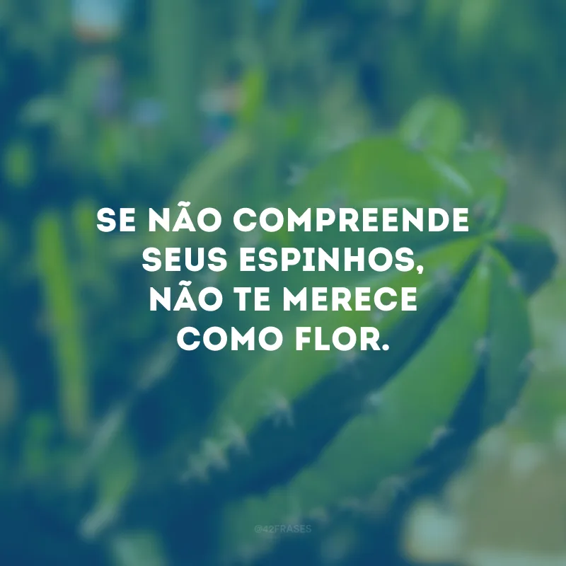 Se não compreende seus espinhos, não te merece como flor.