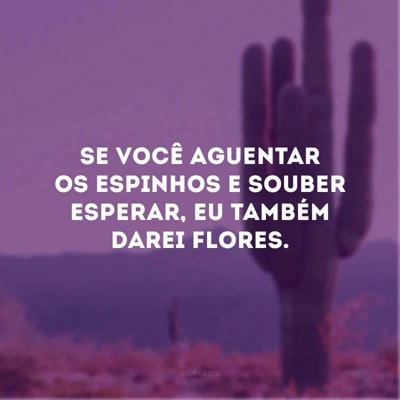 Se você aguentar os espinhos e souber esperar, eu também darei flores.