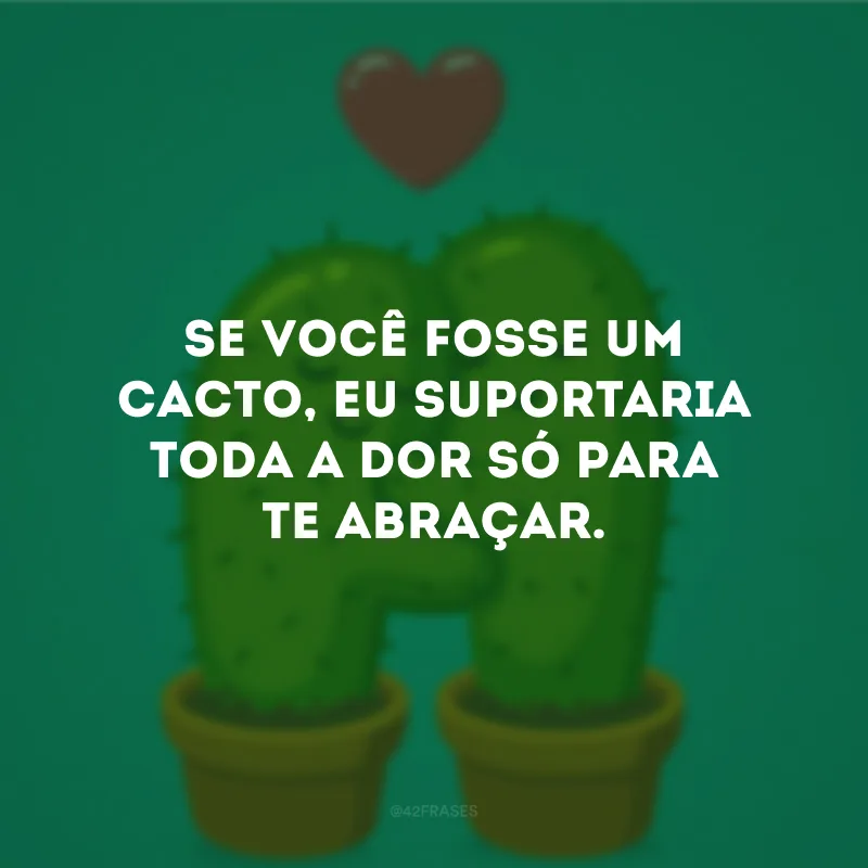 Se você fosse um cacto, eu suportaria toda a dor só para te abraçar.