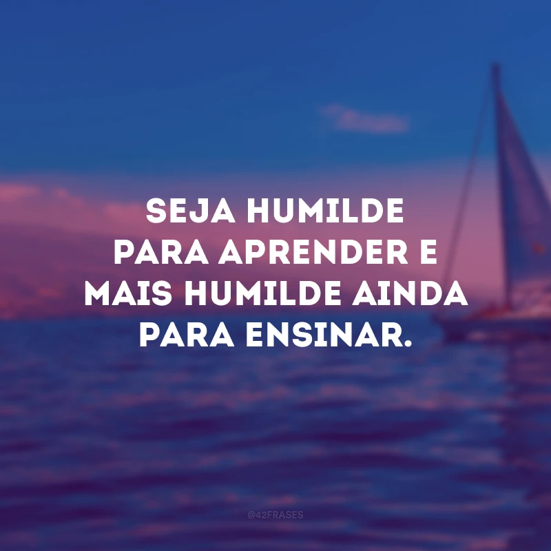 Seja humilde para aprender e mais humilde ainda para ensinar.