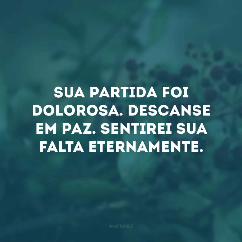 Não há palavras que possam expressar a tristeza que é perder alguém que você ama.