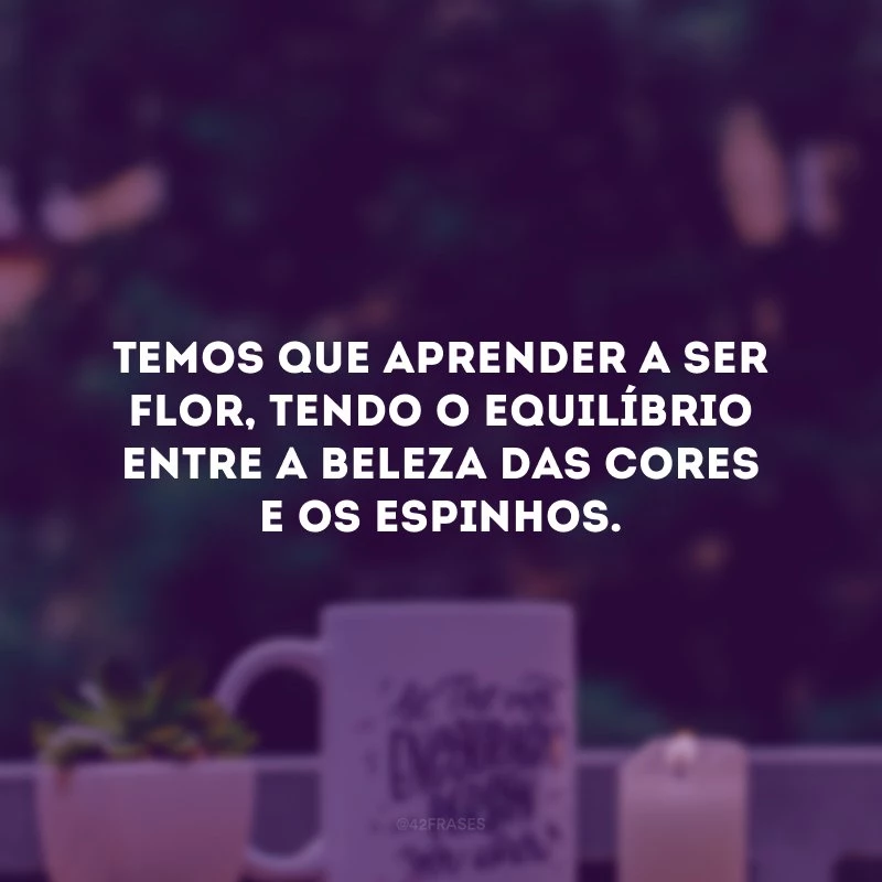 Temos que aprender a ser flor, tendo o equilíbrio entre a beleza das cores e os espinhos. 
