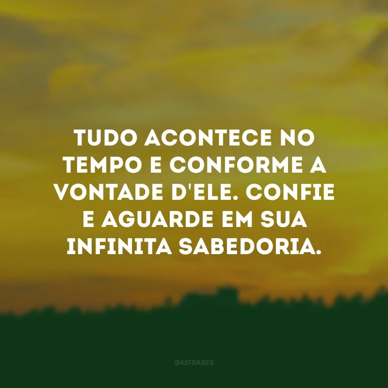 Tudo acontece no tempo e conforme a vontade d\'Ele. Confie e aguarde em Sua infinita sabedoria.