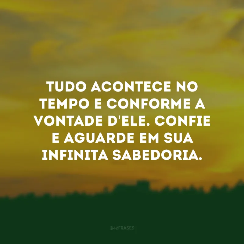 Tudo acontece no tempo e conforme a vontade d\'Ele. Confie e aguarde em Sua infinita sabedoria.