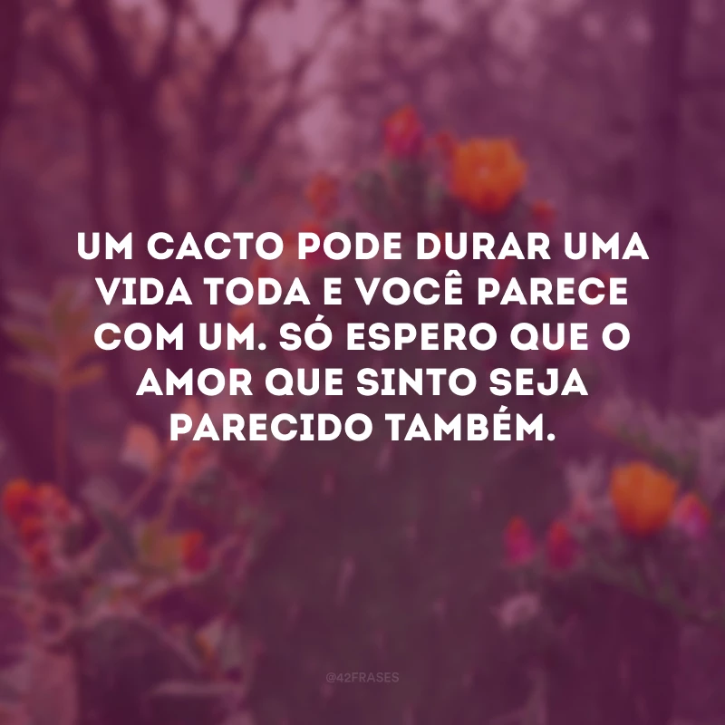 Um cacto pode durar uma vida toda e você parece com um. Só espero que o amor que sinto seja parecido também.
