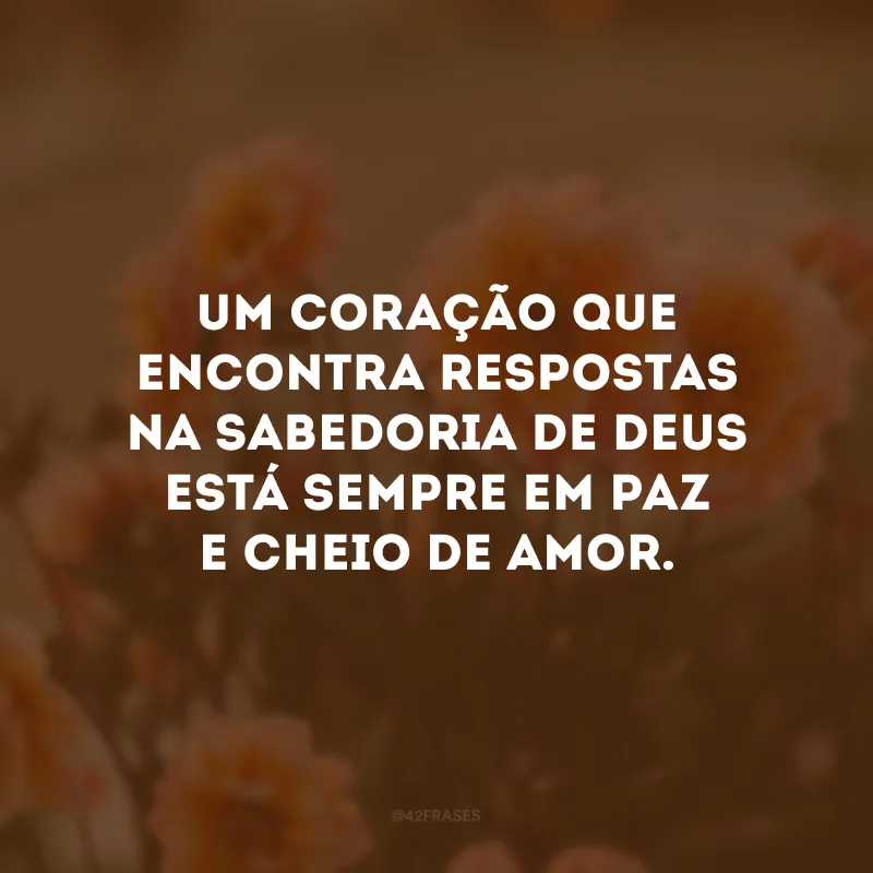 Um coração que encontra respostas na sabedoria de Deus está sempre em paz e cheio de amor.