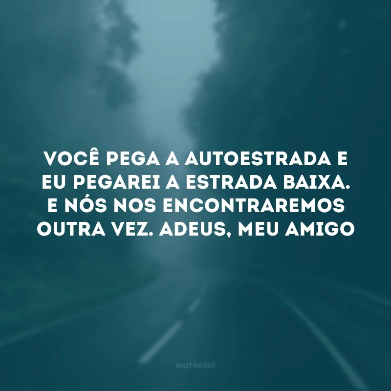 Você pega a autoestrada e eu pegarei a estrada baixa. E nós nos encontraremos outra vez. Adeus, meu amigo