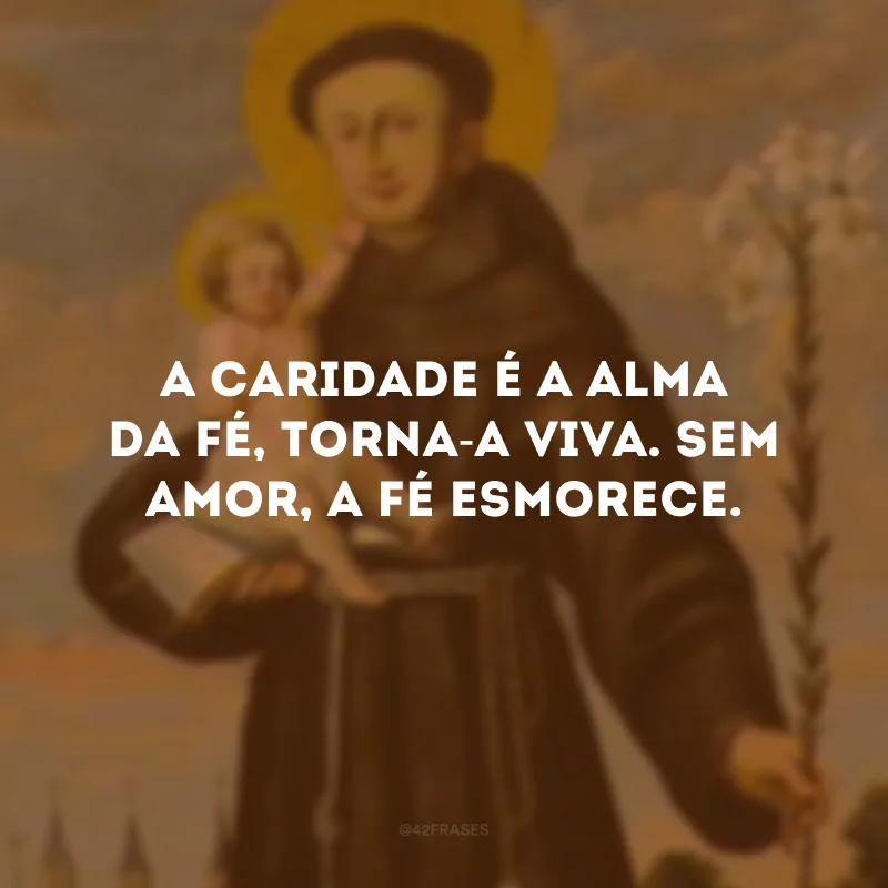A caridade é a alma da fé, torna-a viva. Sem amor, a fé esmorece.