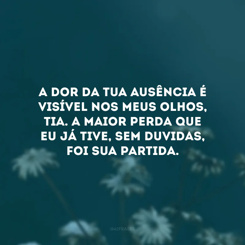 A dor da tua ausência é visível nos meus olhos, tia. A maior perda que eu já tive, sem duvidas, foi sua partida.