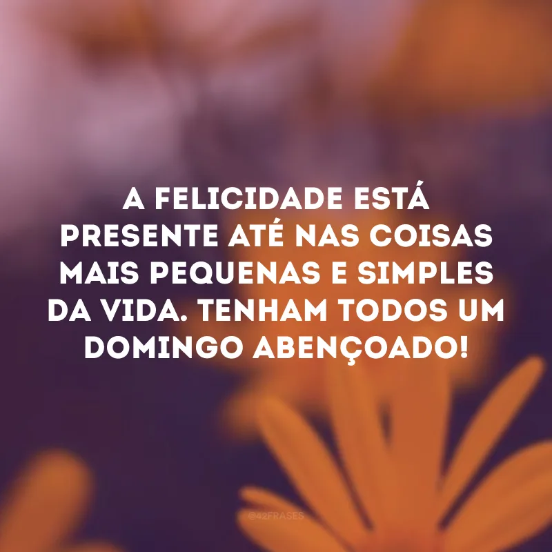 A felicidade está presente até nas coisas mais pequenas e simples da vida. Tenham todos um domingo abençoado! 