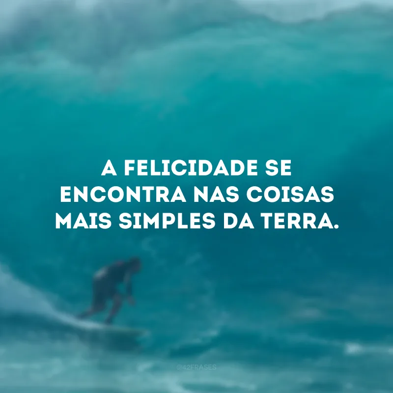 A felicidade se encontra nas coisas mais simples da terra.