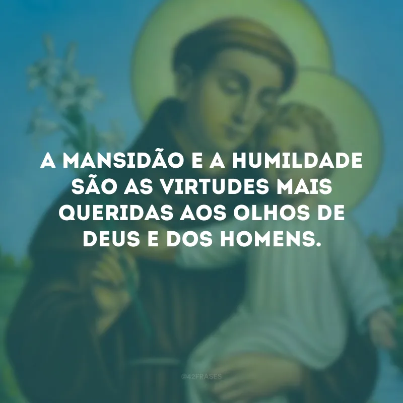 A mansidão e a humildade são as virtudes mais queridas aos olhos de Deus e dos homens.