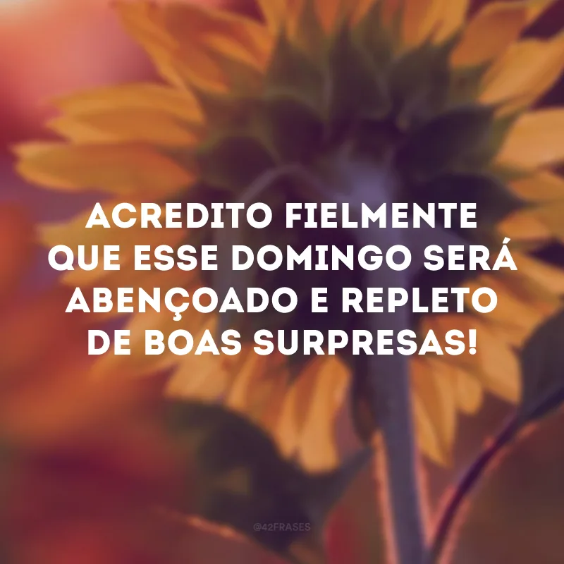 Acredito fielmente que esse domingo será abençoado e repleto de boas surpresas! 