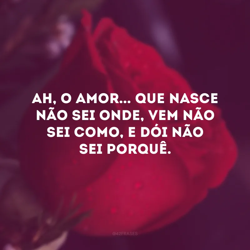 Amor um mal, que me mata e não se vê;

Que dias há que na alma me tem posto
Um não sei quê, que nasce não sei onde,
Vem não sei como, e dói não sei por quê.
