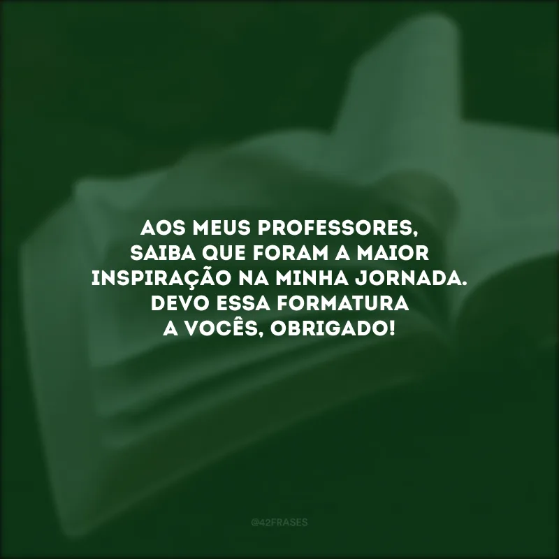 Aos meus professores, saiba que foram a maior inspiração na minha jornada. Devo essa formatura a vocês, obrigado!