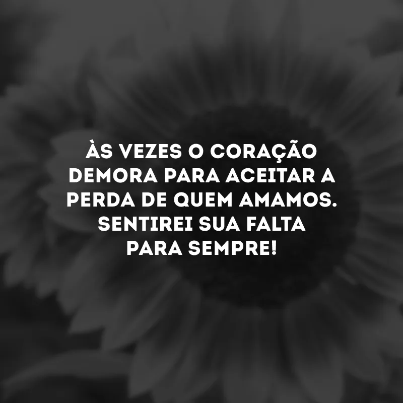 Às vezes o coração demora para aceitar a perda de quem amamos. Sentirei sua falta para sempre!