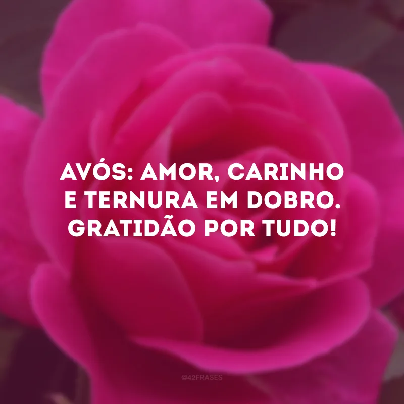 Avós: amor, carinho e ternura em dobro. Gratidão por tudo! 