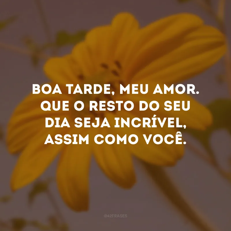 Boa tarde, meu amor. Que o resto do seu dia seja incrível, assim como você.
