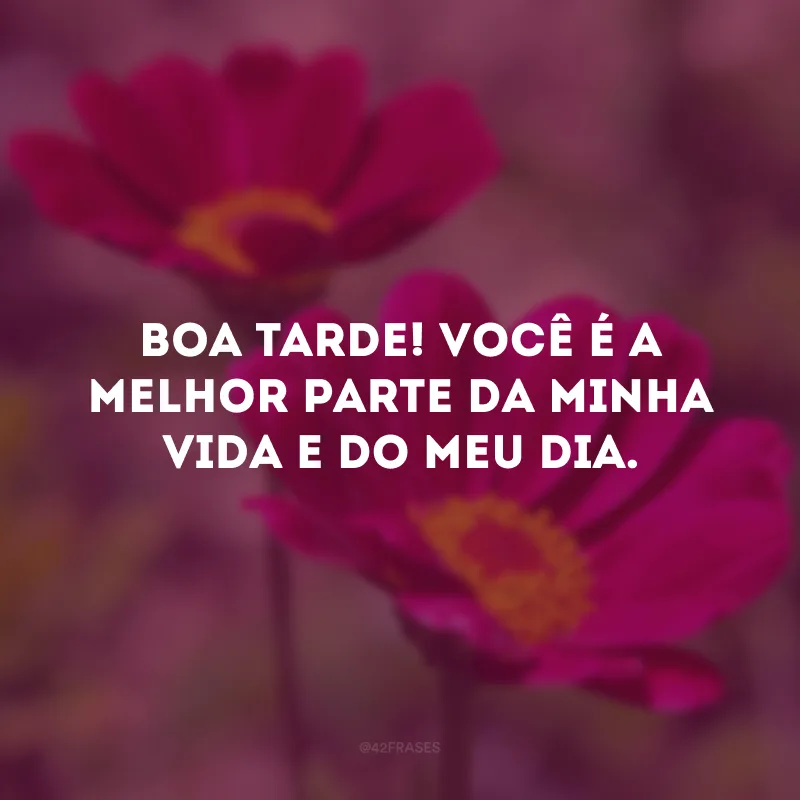 Boa tarde! Você é a melhor parte da minha vida e do meu dia. 
