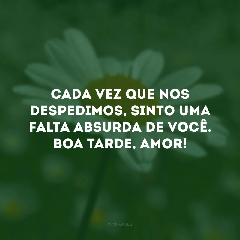 Cada vez que nos despedimos, sinto uma falta absurda de você. Boa tarde, amor!