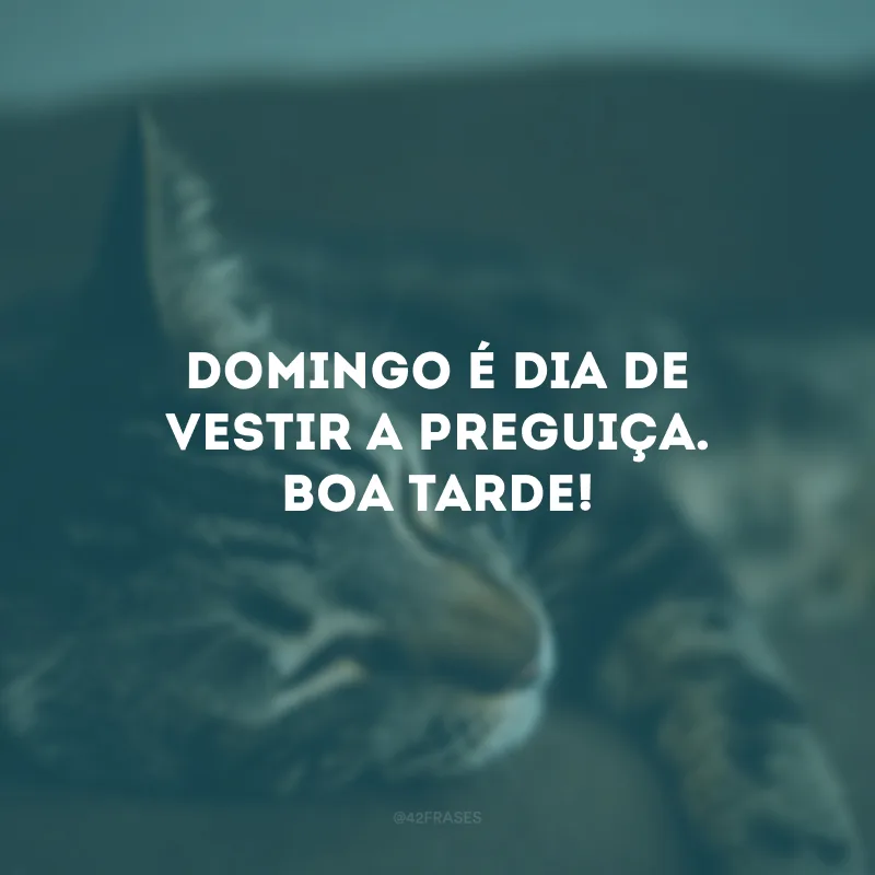 Domingo é dia de vestir a preguiça. Boa tarde!