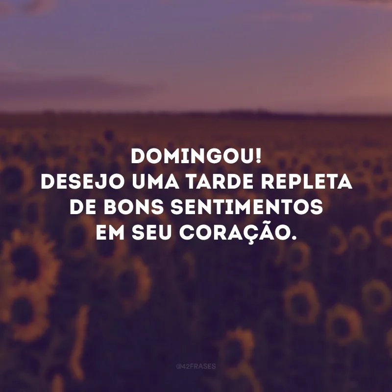 Domingou! Desejo uma tarde repleta de bons sentimentos em seu coração.