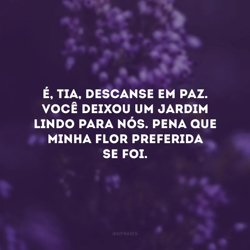 É, tia, descanse em paz. Você deixou um jardim lindo para nós. Pena que minha flor preferida se foi. 