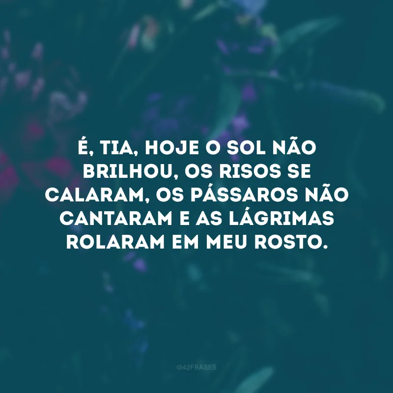 É, tia, hoje o sol não brilhou, os risos se calaram, os pássaros não cantaram e as lágrimas rolaram em meu rosto. 
