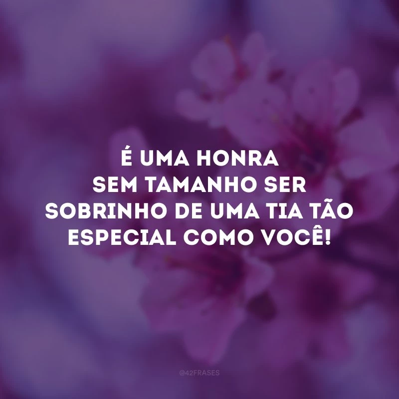 É uma honra sem tamanho ser sobrinho de uma tia tão especial como você!