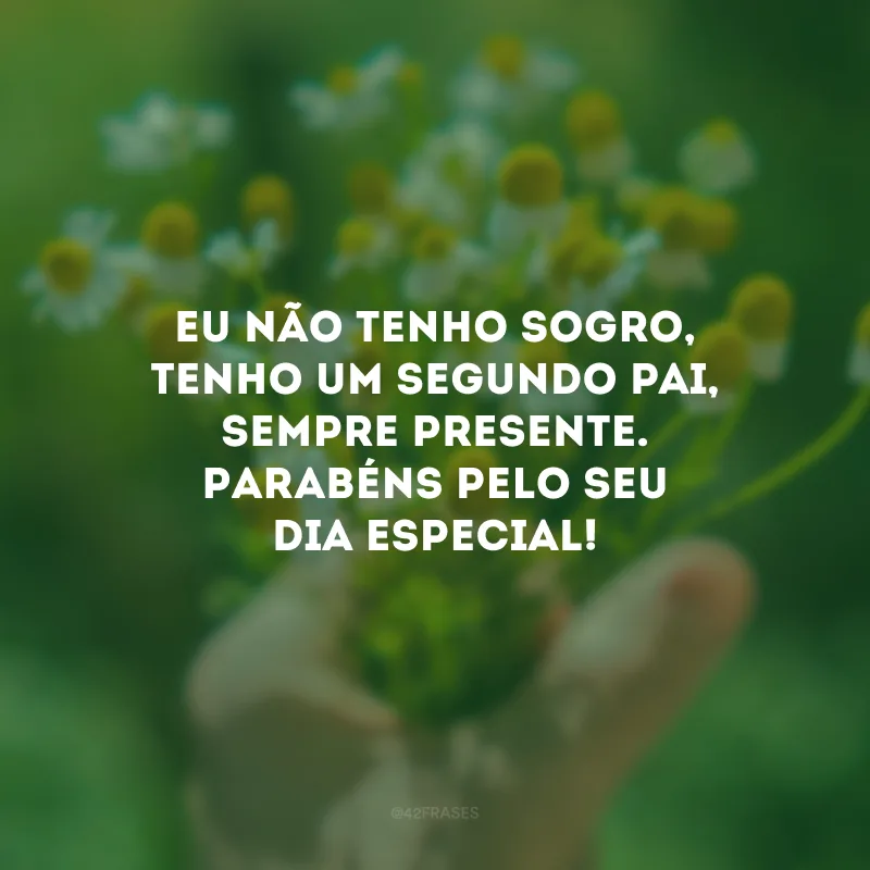 Eu não tenho sogro, tenho um segundo pai, sempre presente. Parabéns pelo seu dia especial!