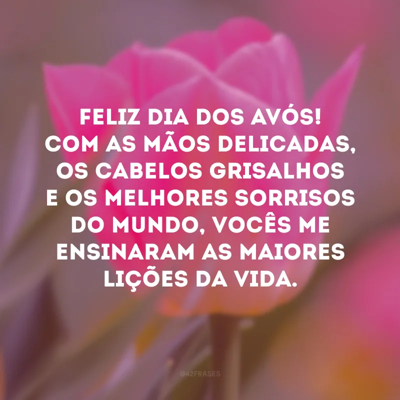 Feliz Dia dos Avós! Com as mãos delicadas, os cabelos grisalhos e os melhores sorrisos do mundo, vocês me ensinaram as maiores lições da vida. 