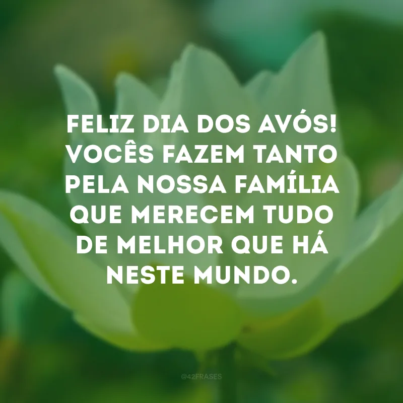 Feliz Dia dos Avós! Vocês fazem tanto pela nossa família que merecem tudo de melhor que há neste mundo. 