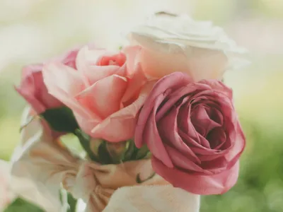 35 frases de bom dia, paixão, para encantar o seu amor