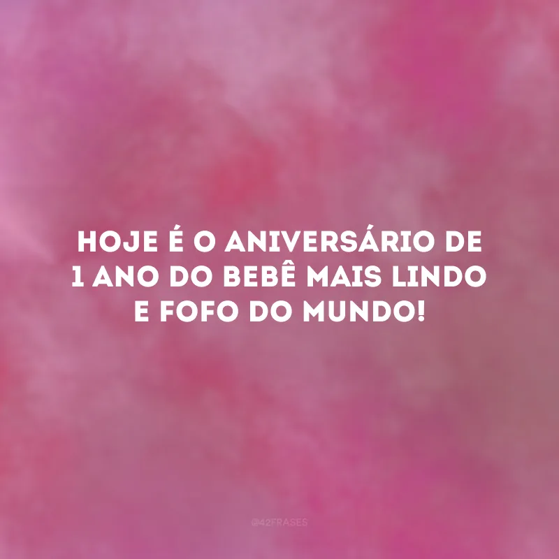 Hoje é o aniversário de 1 ano do bebê mais lindo e fofo do mundo! 